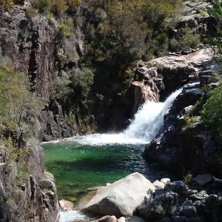 شقة فندقية Av