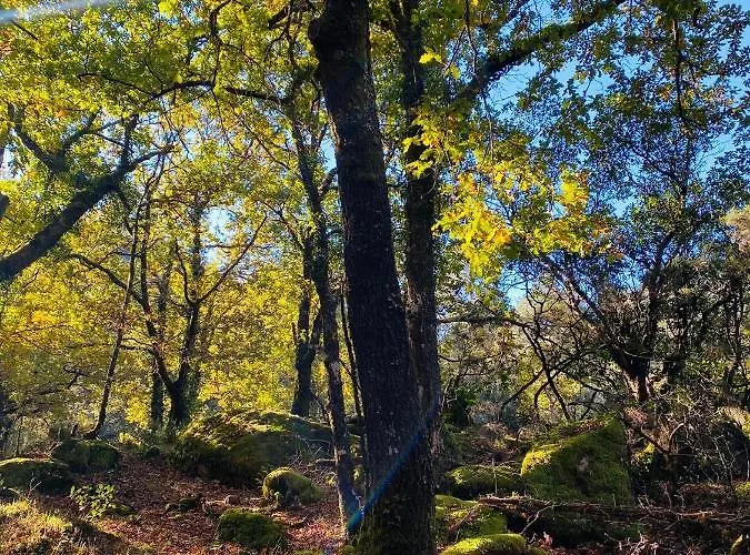 Av شقة فندقية لوفيوس