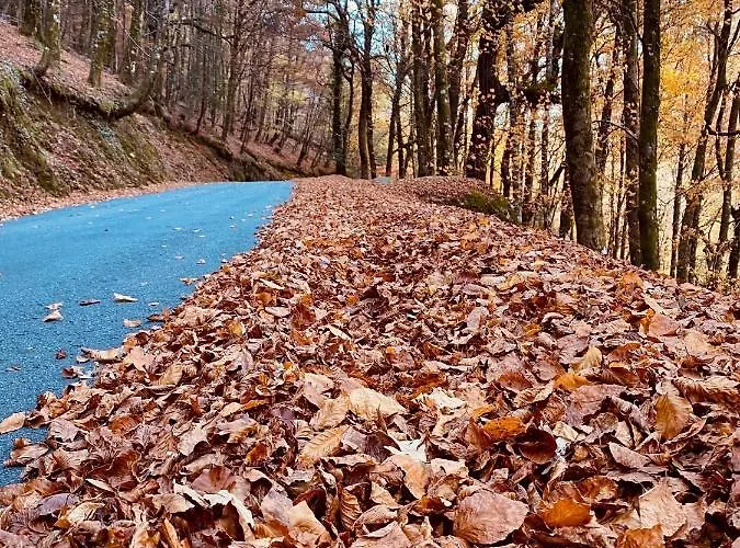 Aparthotel Av Lobios