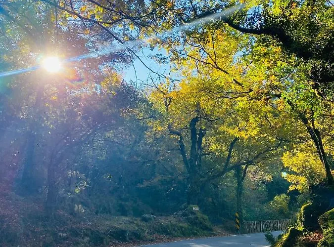 شقة فندقية Av 3*