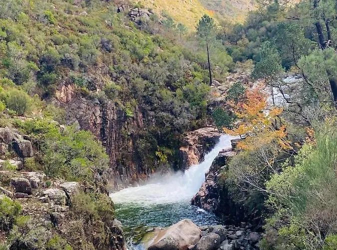 شقة فندقية Av