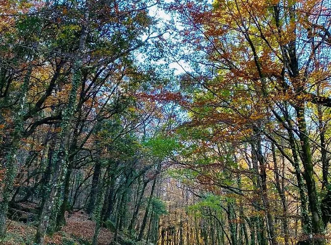 Av شقة فندقية 3*